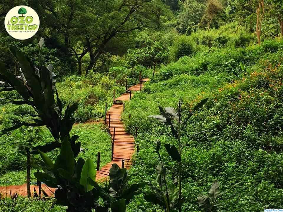 tour-phong-nha-ke-bang-1-ngay