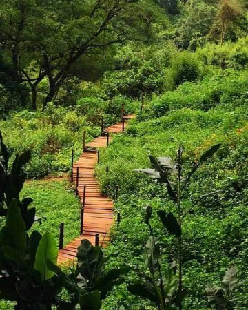 Tour Độn Thiên Đường - Công Viên Ozo